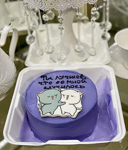 Бенто-торт № 495 (шоколадный). ПОД ЗАКАЗ ЗА 72 ЧАСА. Декор, фотопечать - два котенка. Надпись: Ты лучшее, что со мной случилось.